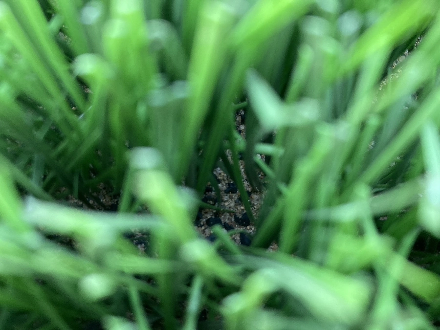 【1グラ工事進捗報告③】