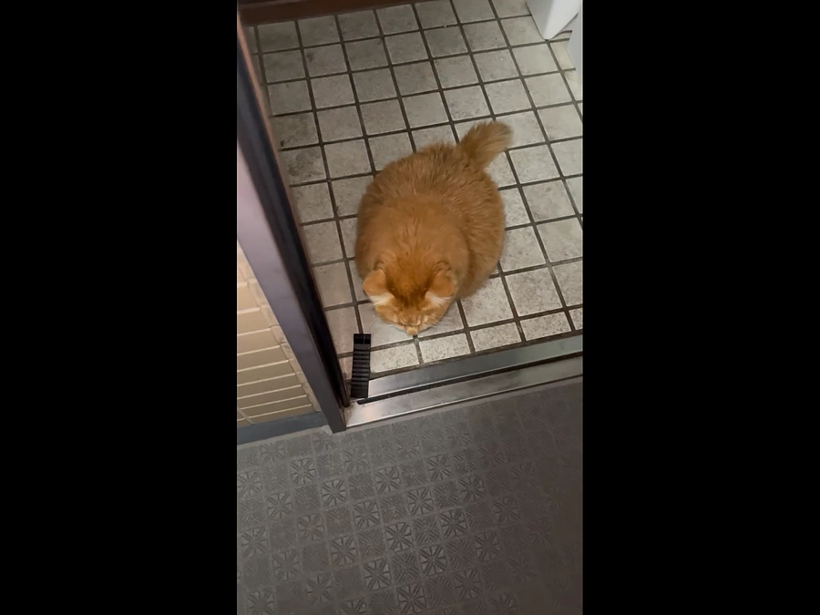 玄関にお迎え。