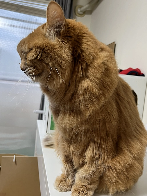 今年最後の投稿です