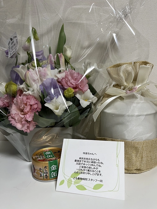 病院からお花が届きました