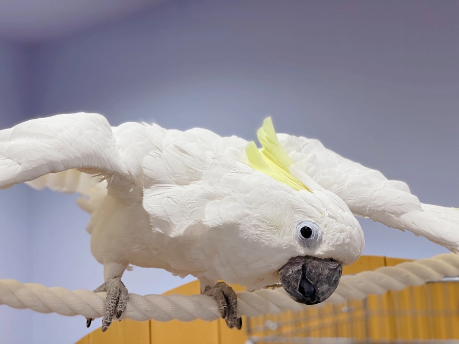 リターン品のご紹介✨