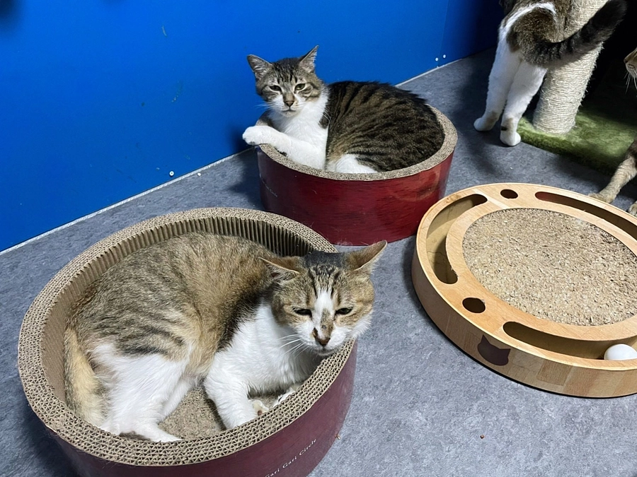 ★なんでもない日常にささやかな幸せを