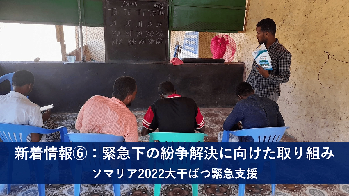 緊急下の紛争解決に向けた取り組みの進捗