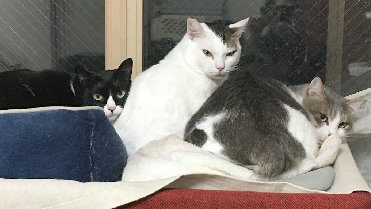 多くの知らない方々からのご支援に心から感謝を申し上げます。