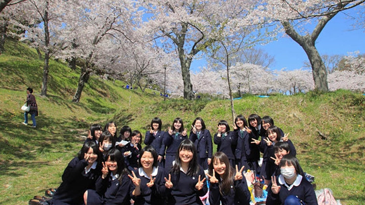 被災地に咲く櫻を毎年撮影し復興が進む東北を支援する写真展