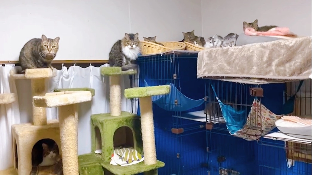 ★ 修繕工事がいよいよ始まります