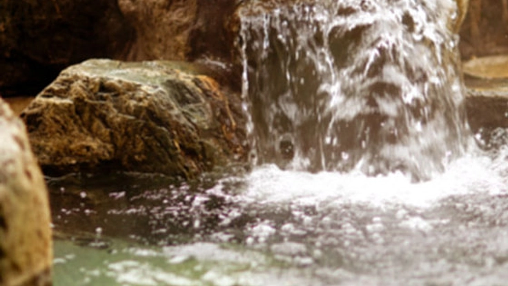 森のなかに、薪で沸かし心身を癒すヒノキの露天風呂を作りたい！