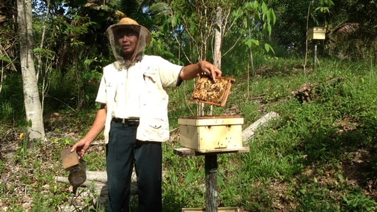 ボルネオ産ワイルドハニーがマレーシア、サバ州の貧困を救う！