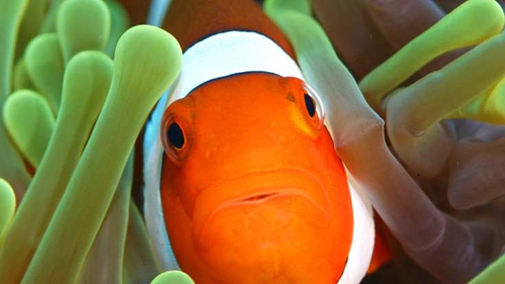 子供たちに映像と音楽と朗読で、「水育」(水の大切さ)を伝える