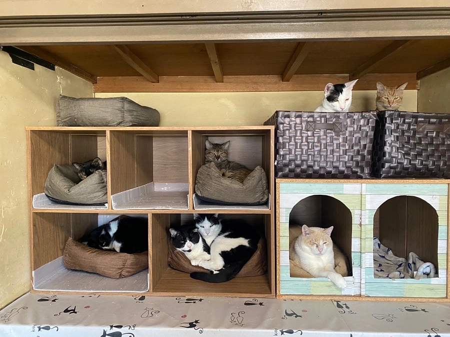 ネクストゴールにチャレンジ致します！