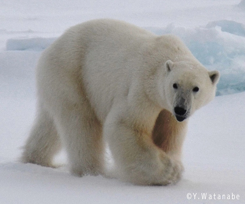 ご支援いただいた「隊員」の皆様のご紹介