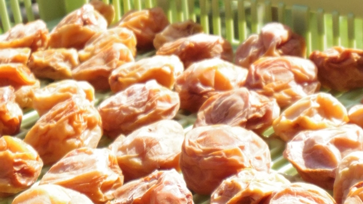 消えゆく山村の伝統の梅を使った、後世に残るお土産を作りたい！