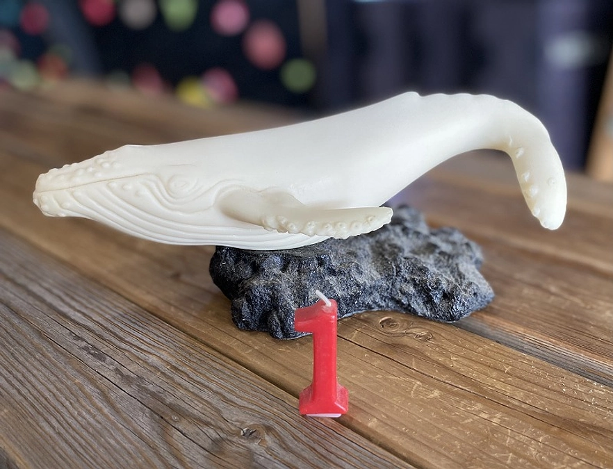 いよいよ残り１日！ということで…