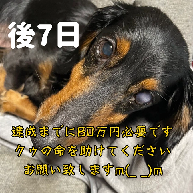 3月30日 最終日まで後7日