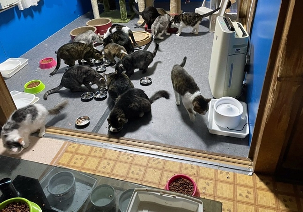 ★飼い主さんが、食事中の写真を撮ってくれました。