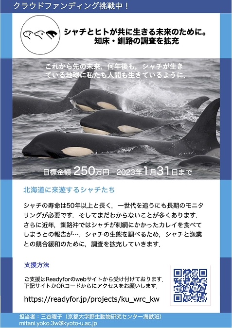 クラウドファンディングのチラシ