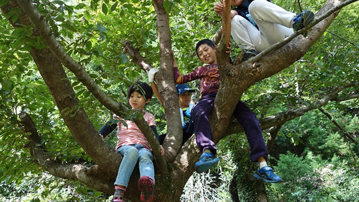 早川町に、子どもが自由に遊べるツリーハウスを作りたい！