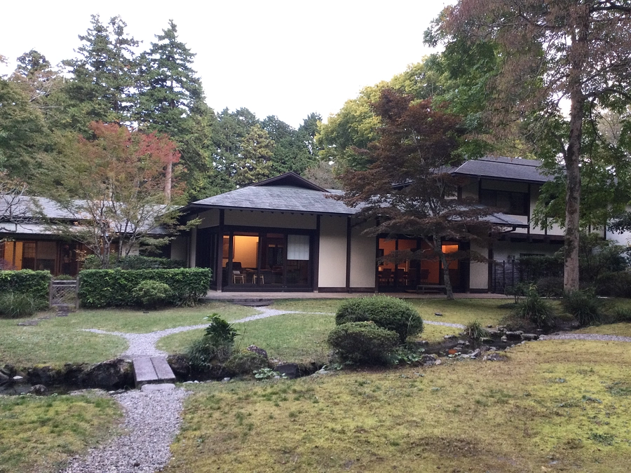 【残り3日‼】お庭の様子をお届け