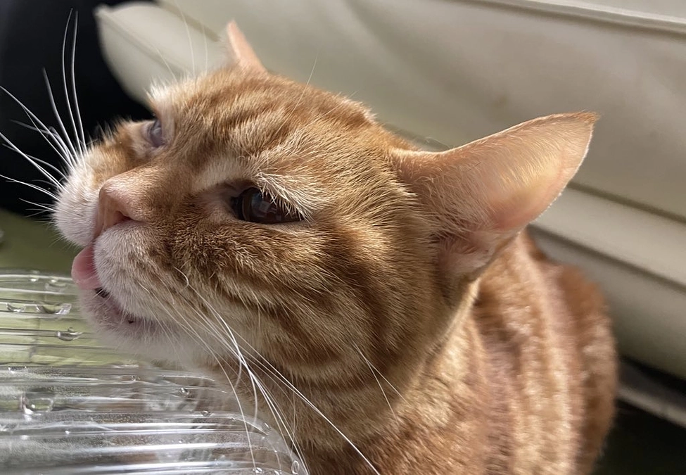 高すぎないかい？