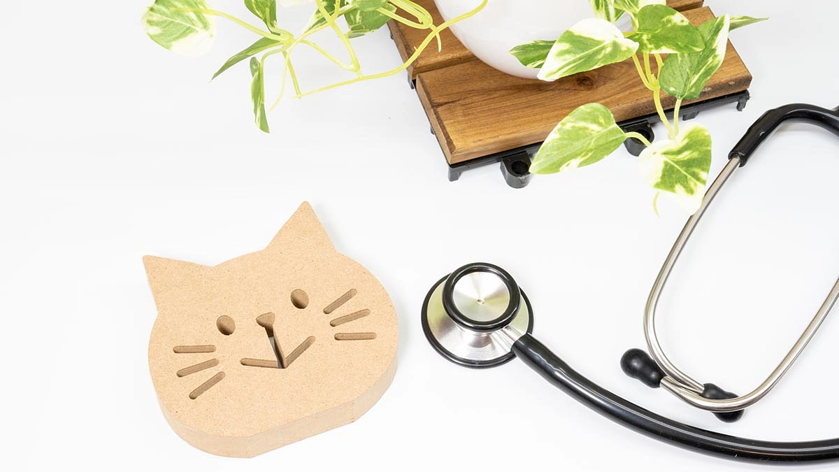 動物病院開院についてのご報告