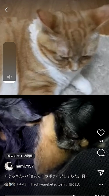 インスタライブのクゥ(4月2日23時30分にライブ致します)