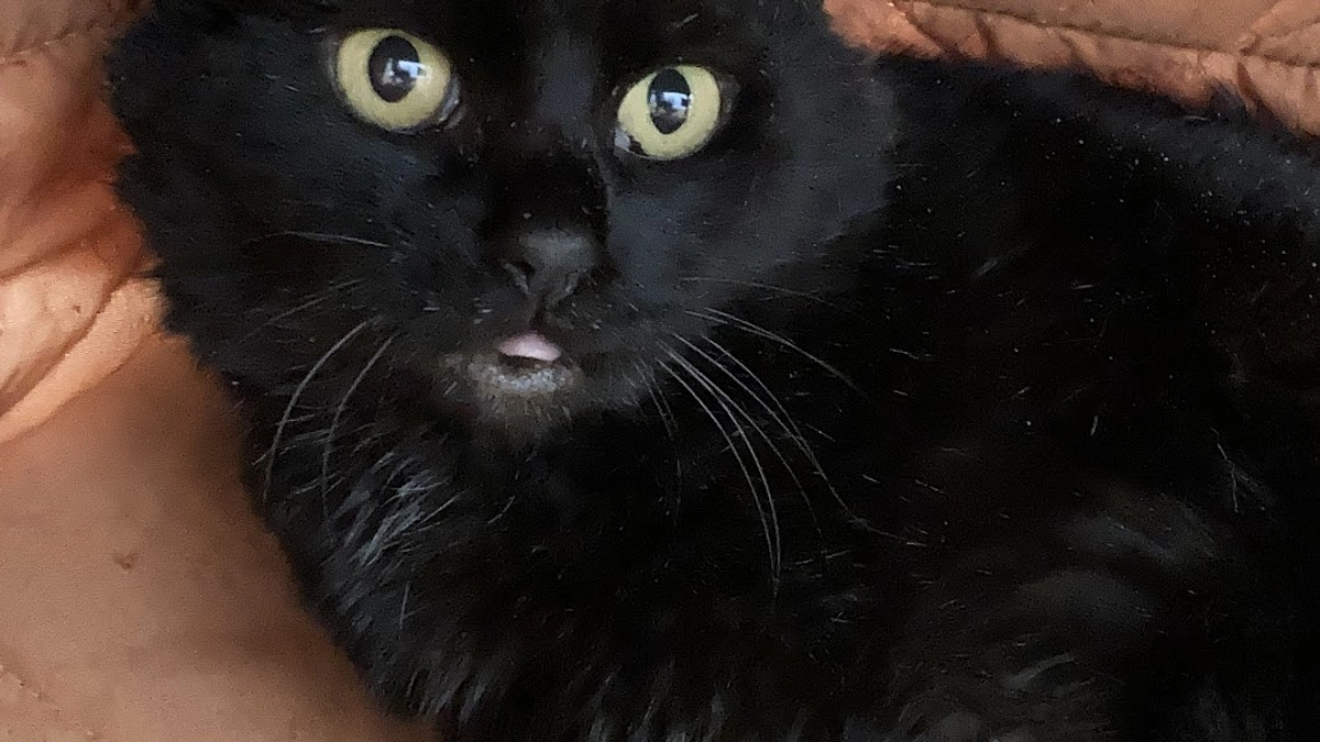 未希ちゃんの最新情報です