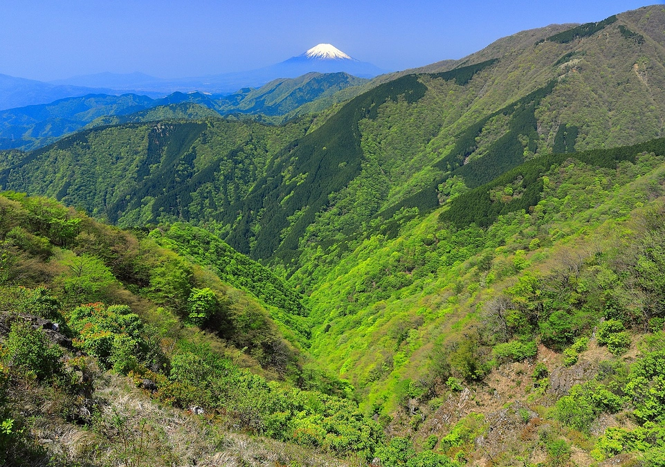 クラファン終了まで、あと５日です！