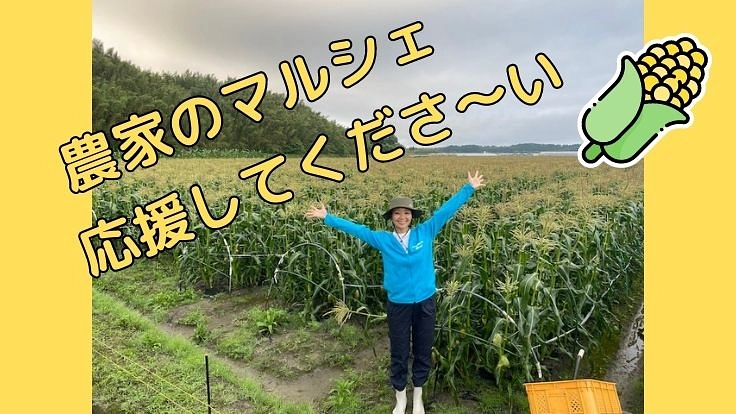 宮崎県の美味しい野菜を多くの人に知ってほしい！ 3枚目