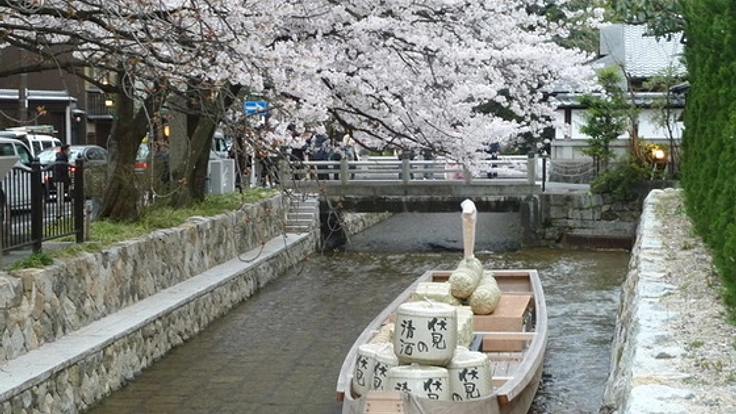 400年を迎える京都高瀬川でプロジェクションマッピングを！
