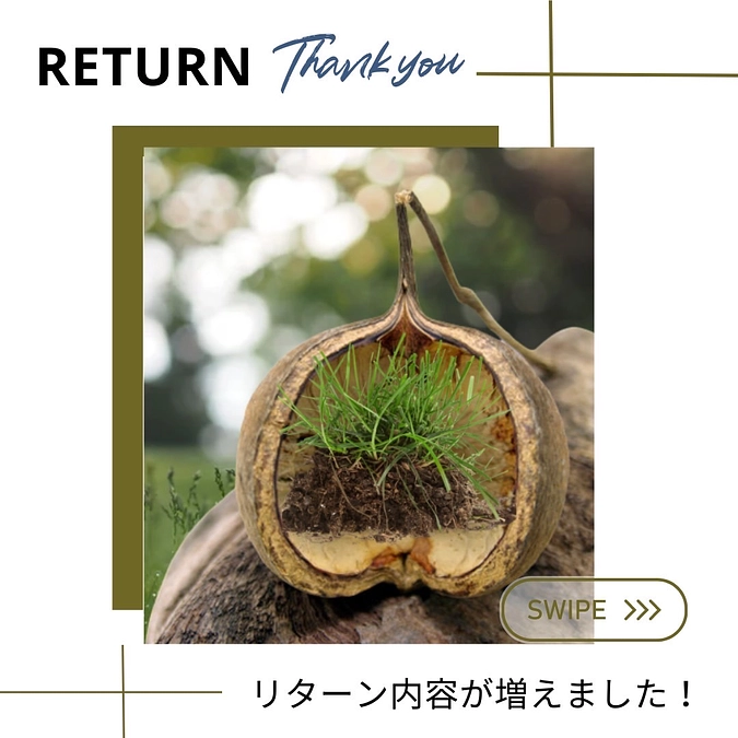 リターン追加しました！内容はこれ！「芝生の苗(ポット付き)とHPに個人名を掲載」