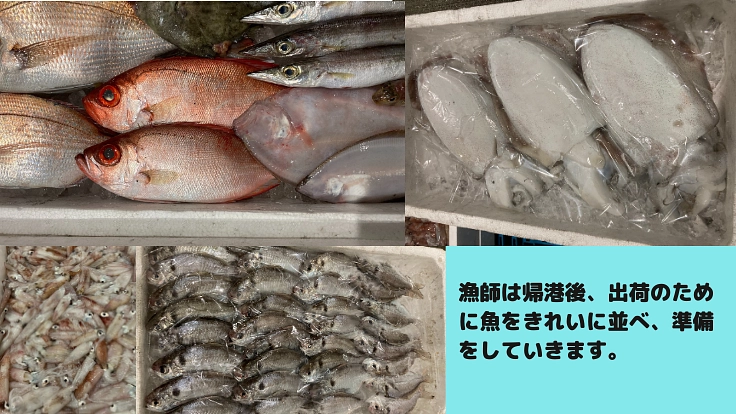 「魚から地域活性化へ」をめざして～魚の加工品企画開発・販売をしたい 2枚目