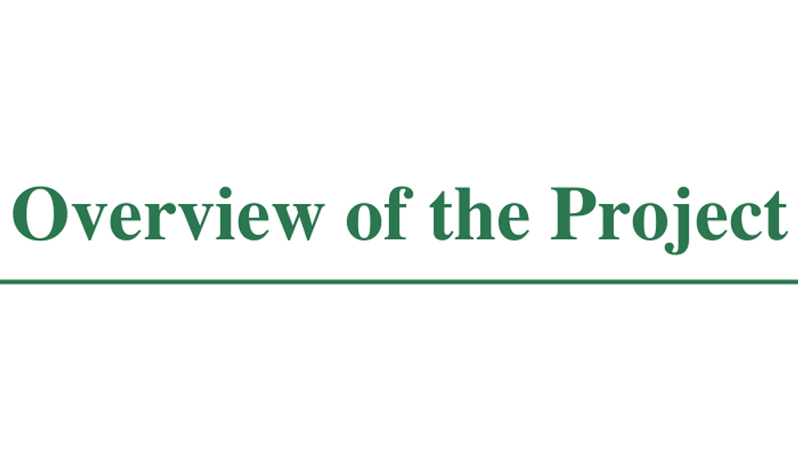 Overview of our project