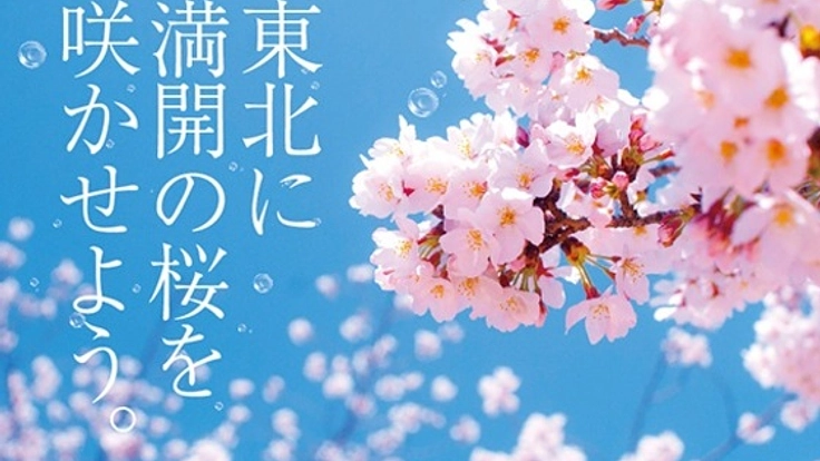 宮城県の亘理町に震災復興を見守る桜の木を神戸から贈りたい！