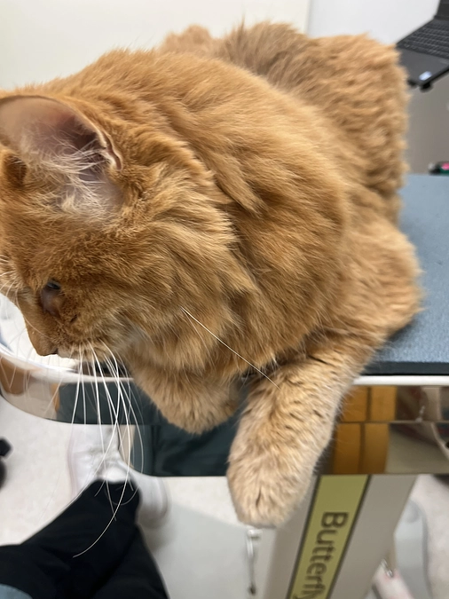 病院に行ってきました。