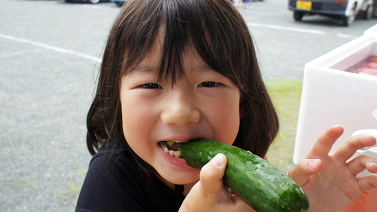 伝統野菜”里芋”を使った新たな特産品”里芋ポタージュ”を作る