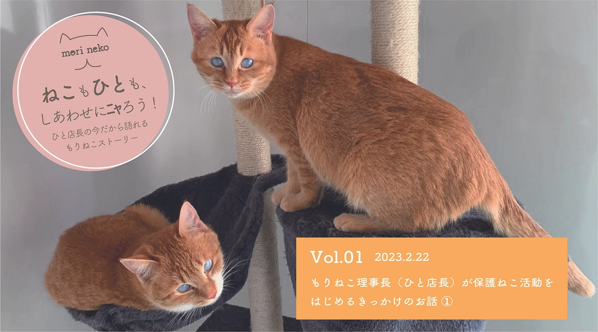 ねこもひとも、しあわせにニャろう！Vol.1