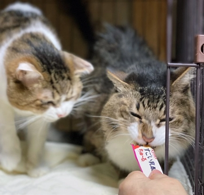 ★みんなが喜ぶこと