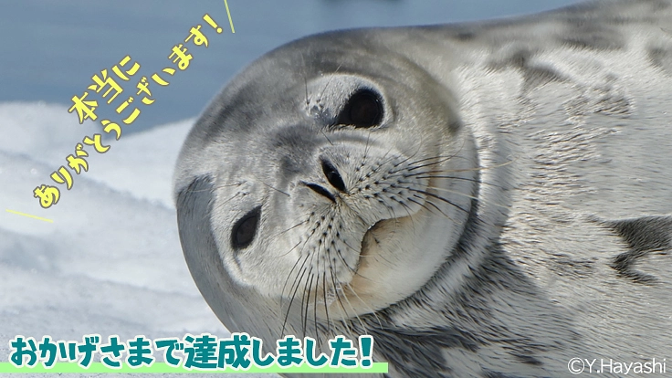 極地の謎を解明し、よりよい地球の未来を守る“隊員”になりませんか? 3枚目