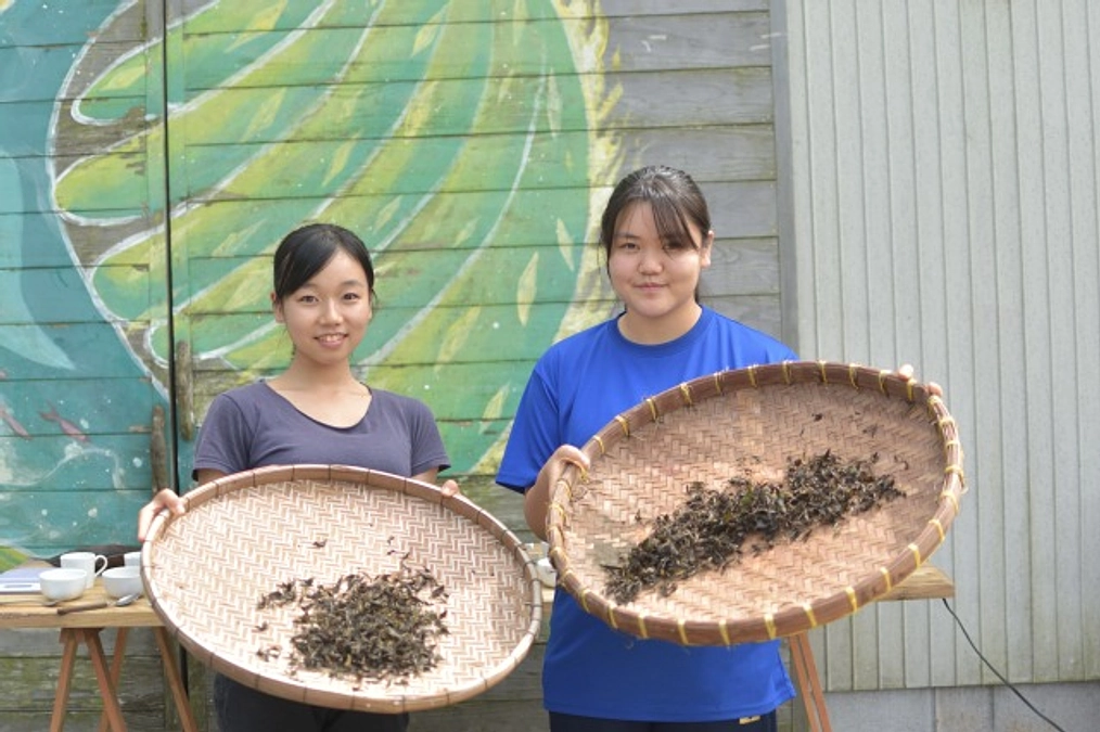 返礼品の紅茶づくりをしてきました！