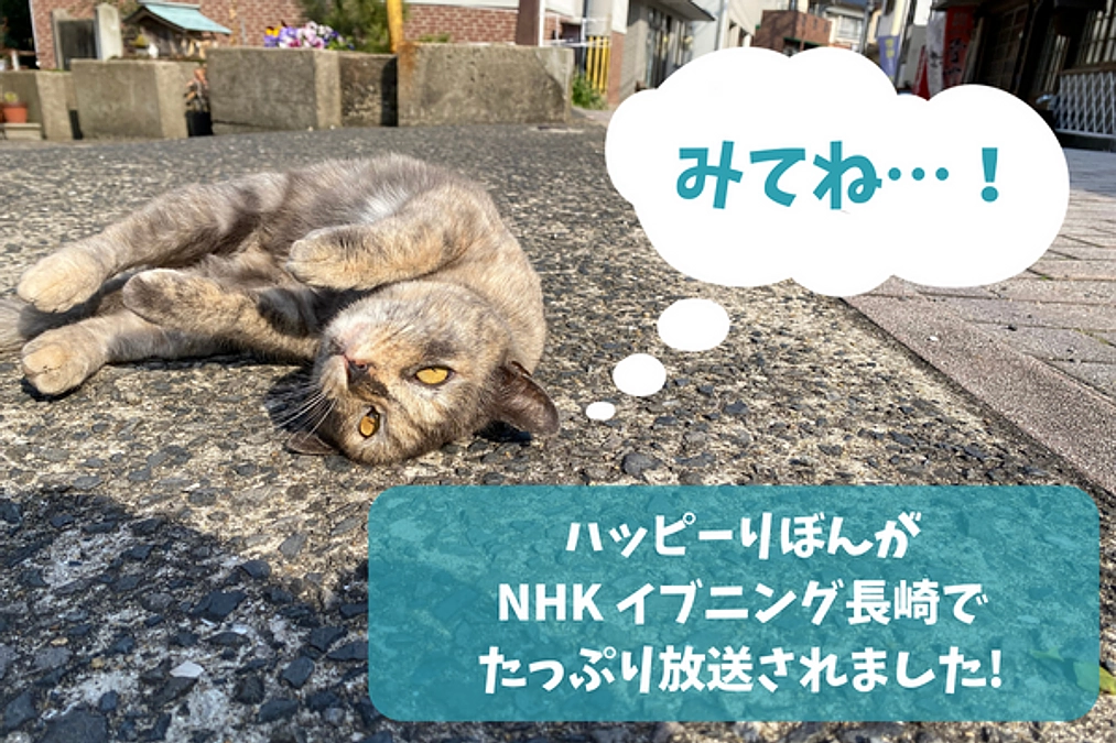 先日放送された「NHK総合 イブニング長崎」の放送のアーカイブ配信のご紹介！