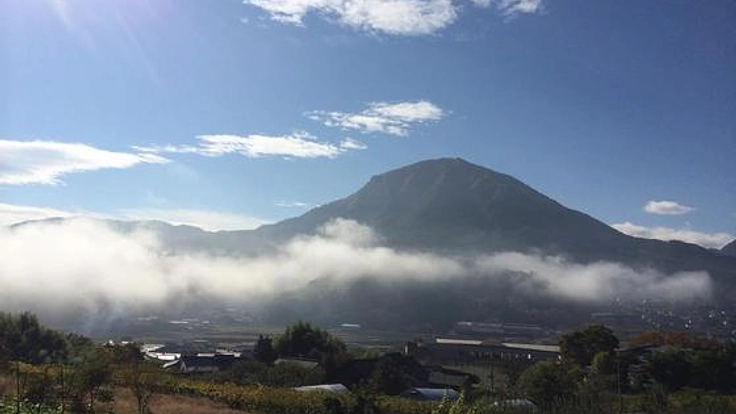 ケールのイメージを変えて世界進出をして小さな村を盛り上げたい