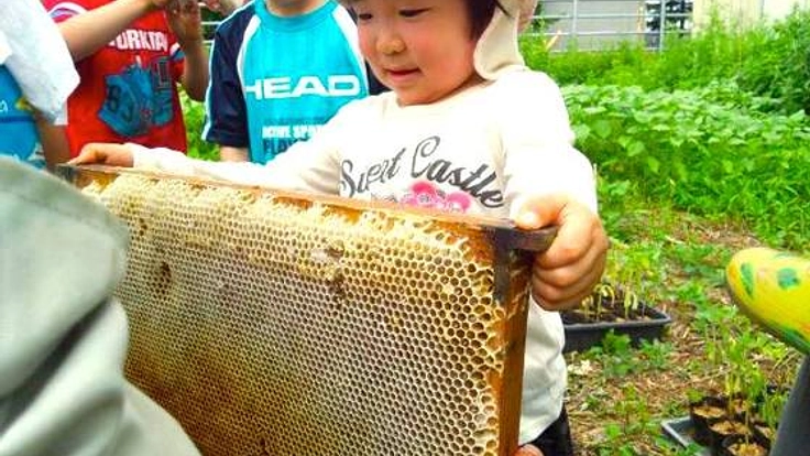 北海道の蜜蜂とハーブのガーデンに休憩所やトイレを設置したい！