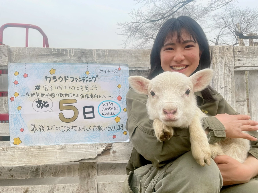 【ラストスパート！】プロジェクト終了まであと5日！！