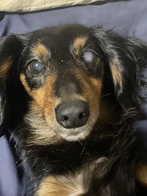 達成60%ありがとうございます、直接ご支援も宜しくおねがいしますm(_ _)m