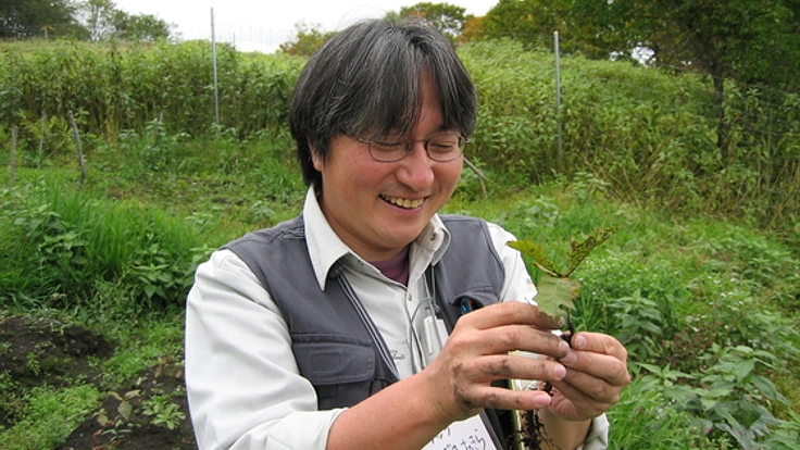 東日本大震災で被災した海浜で植生の回復に取り組みたい！