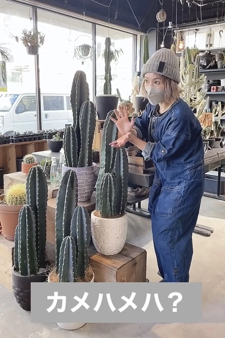 柱サボテンコースのご紹介！