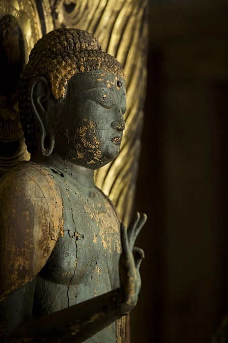 【72%達成】応援コメントのご紹介