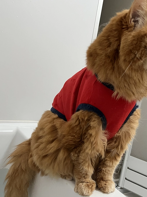 咲夜のアメブロ更新しました！