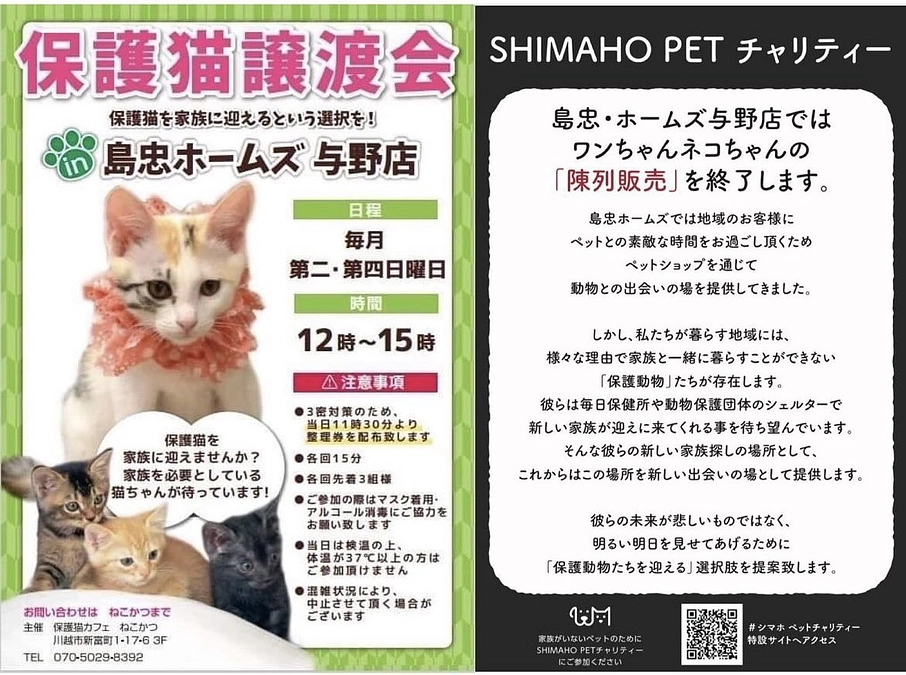 ねこかつ２店舗での譲渡の他に譲渡会を開催しています。