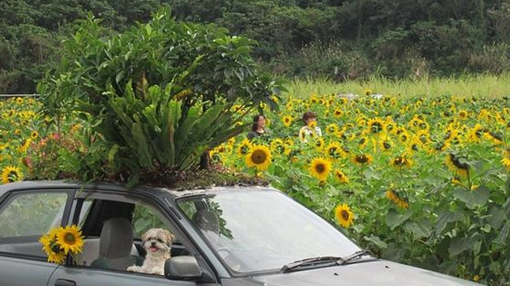 ジャングル・カーで日本縦断キャラバンに行きたい！